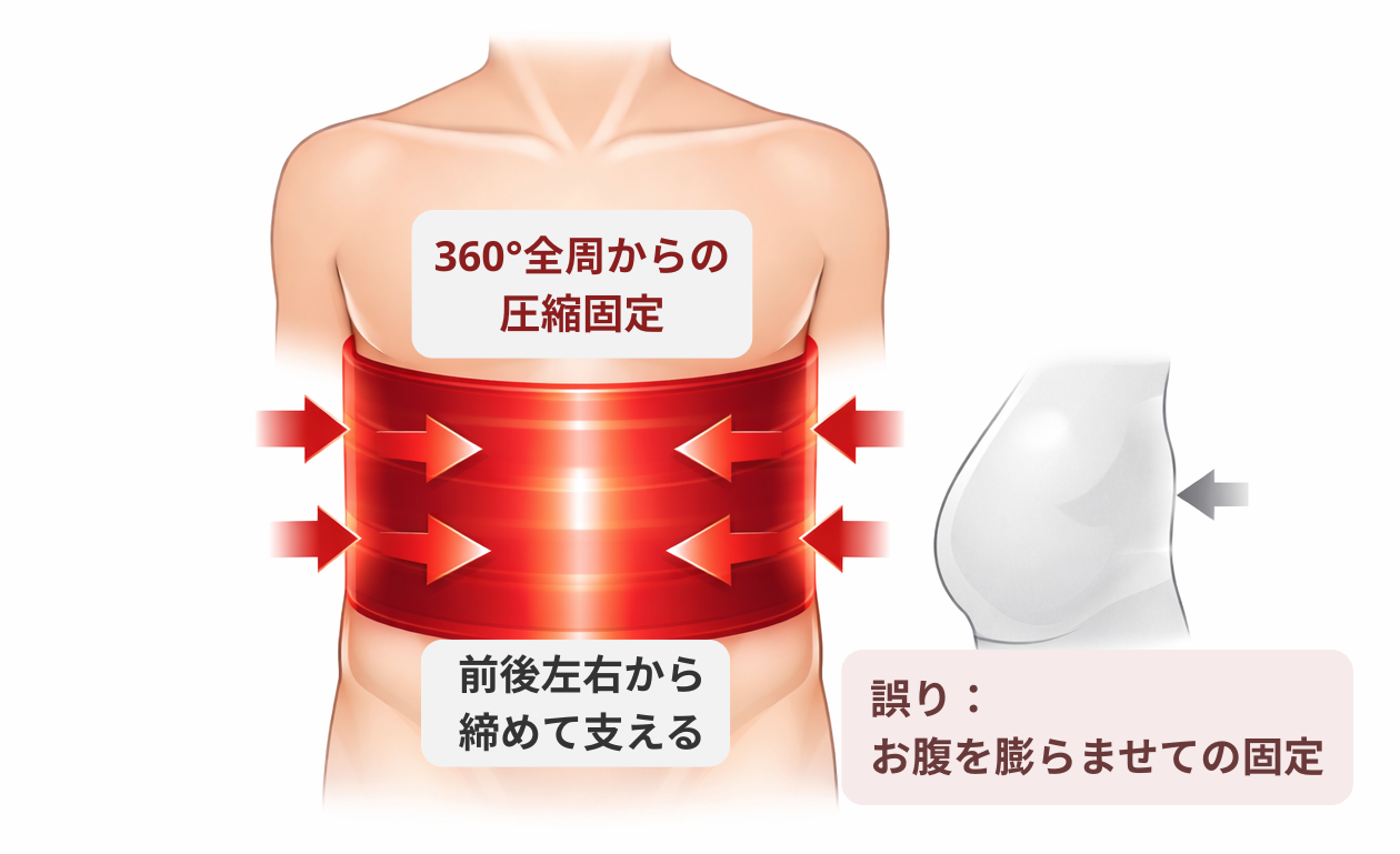 ​​​​​​体幹の正しい固定と誤った腹部の使い方を比較した図解。骨盤からみぞおちまでの胴体全体を360度から締める圧縮が正しい固定であり、お腹を前に膨らませるだけの力みは不安定であることを示している。